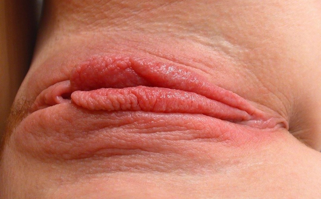 El labia es pequeño
