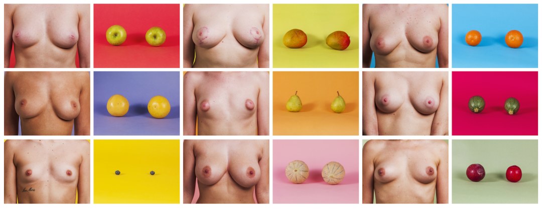 Cofre desnudo de diferentes formas