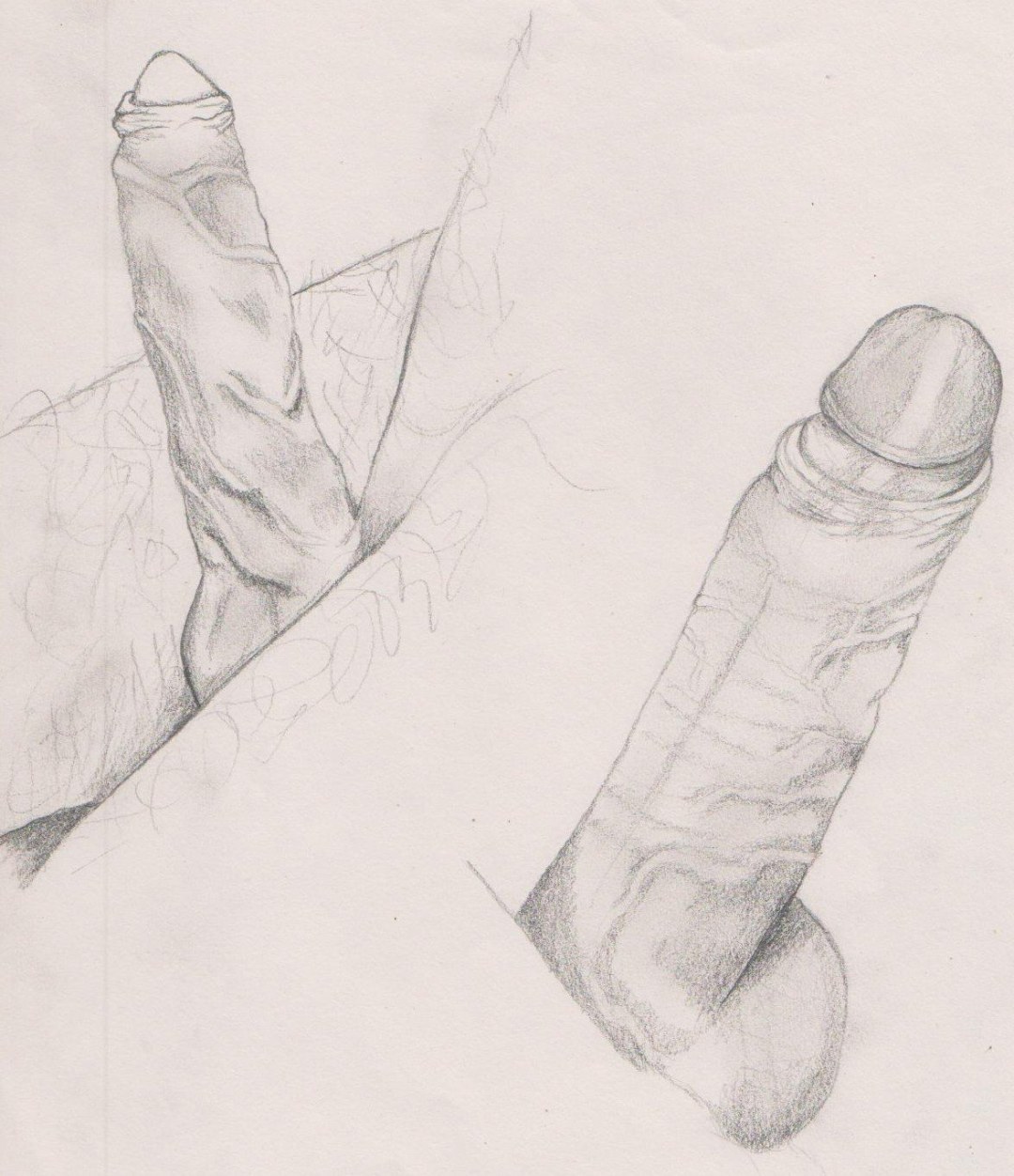 El arte de dibujar miembros