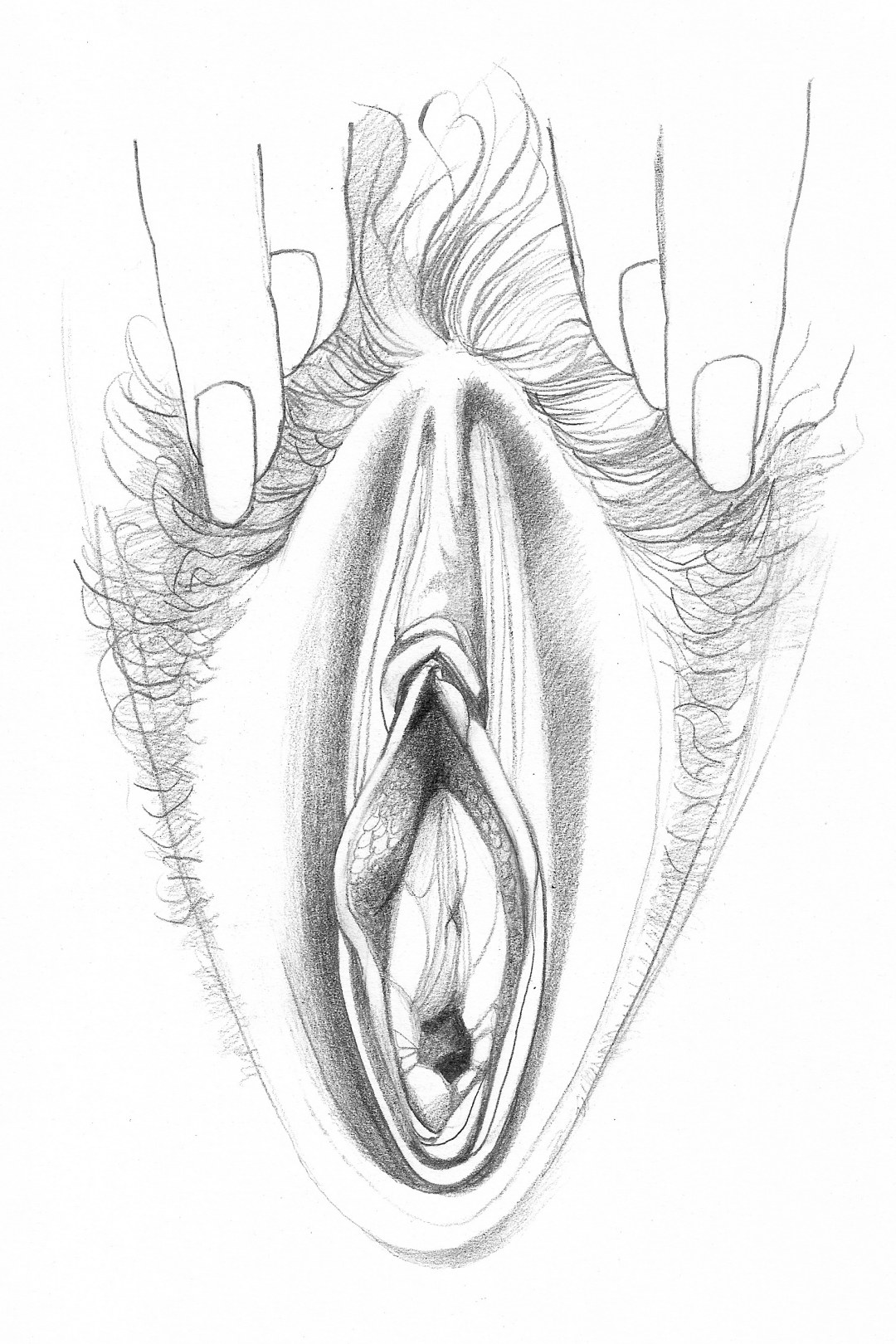 Patrón de lápiz de la vagina