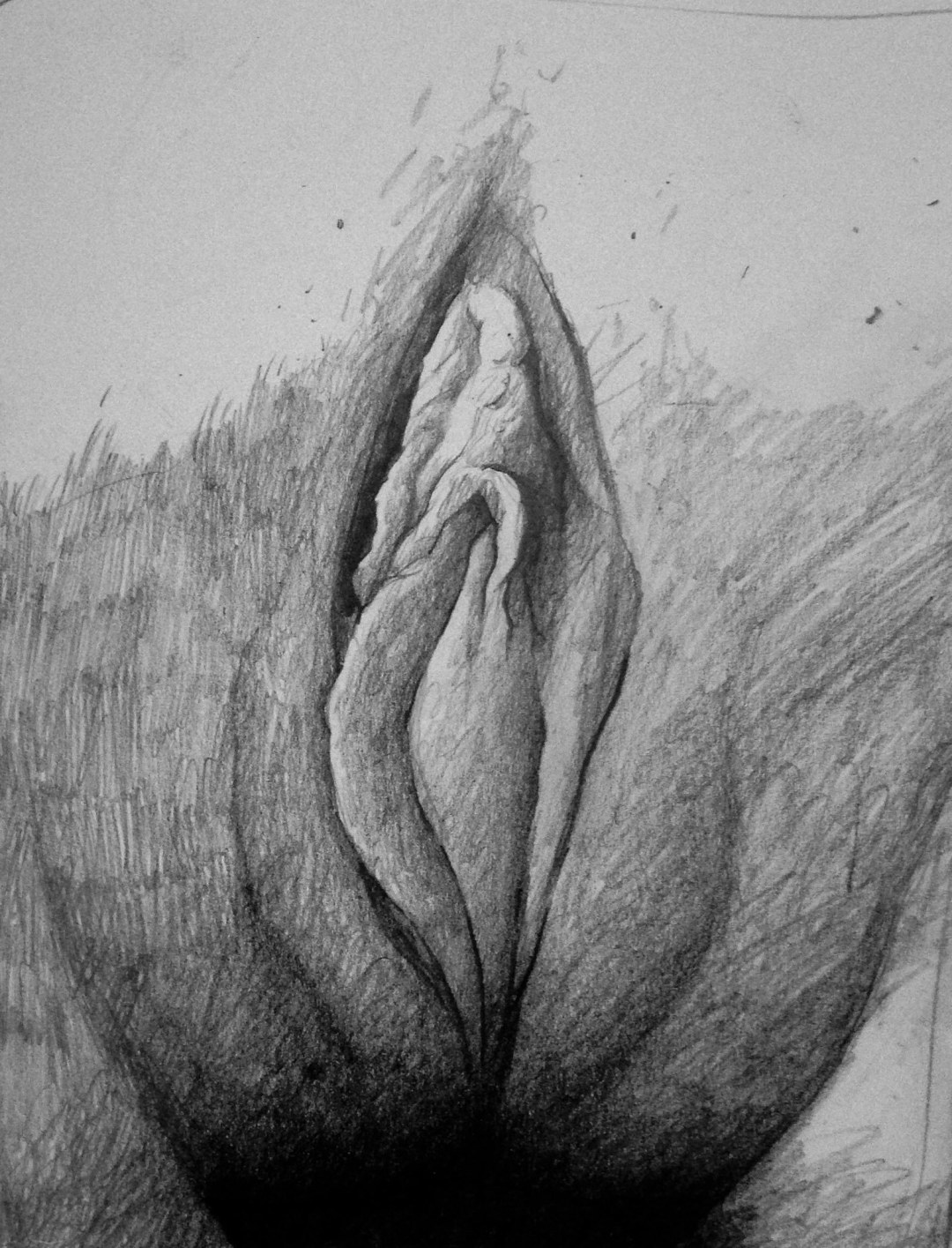 Boceto dibujando el vagin