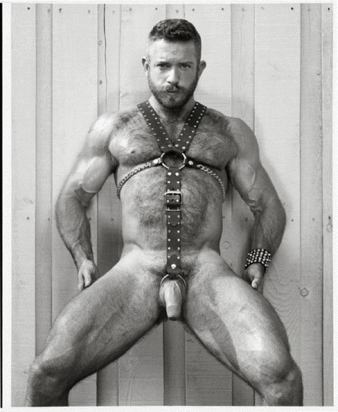 Chicos peludos desnudos bombeados