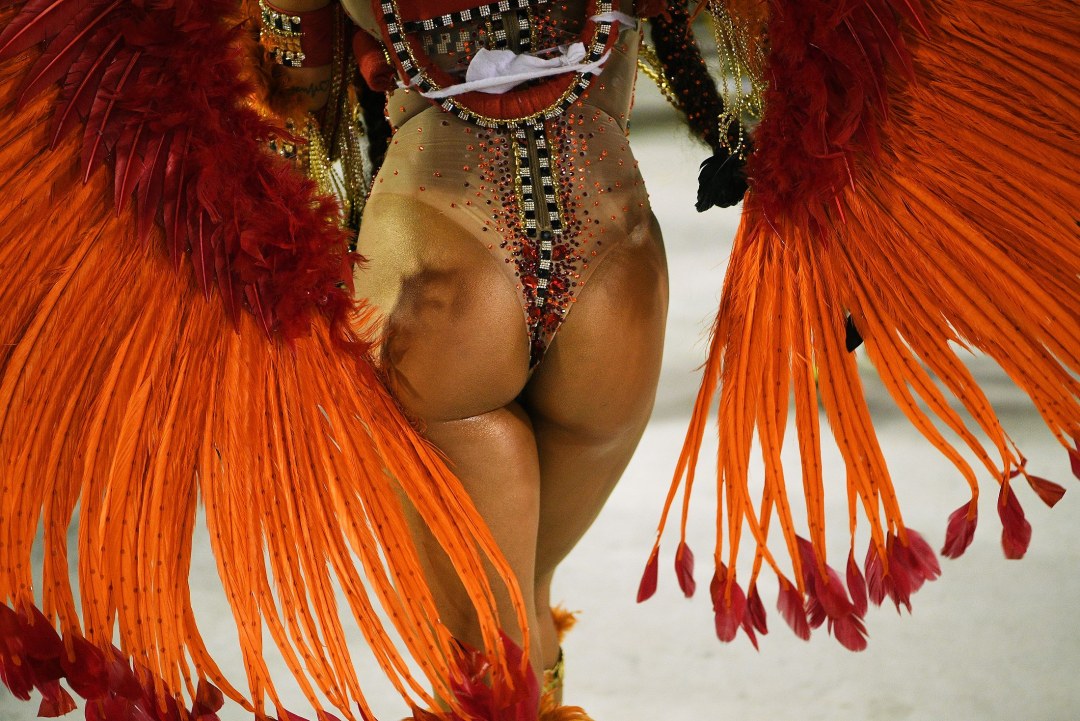 Carnaval en Río de Janeiro 18 +
