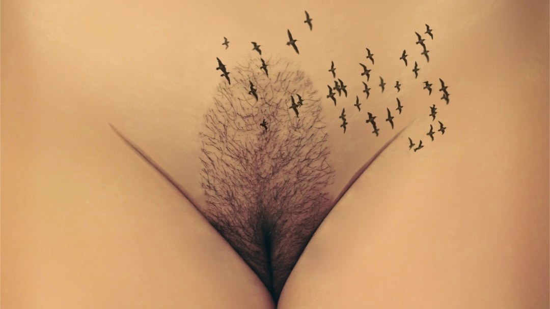 Venin Bugorok Mons Veneris