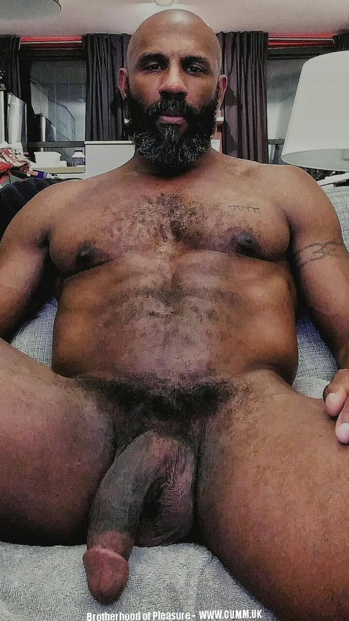 Hombres peludos desnudos con enormes pollas
