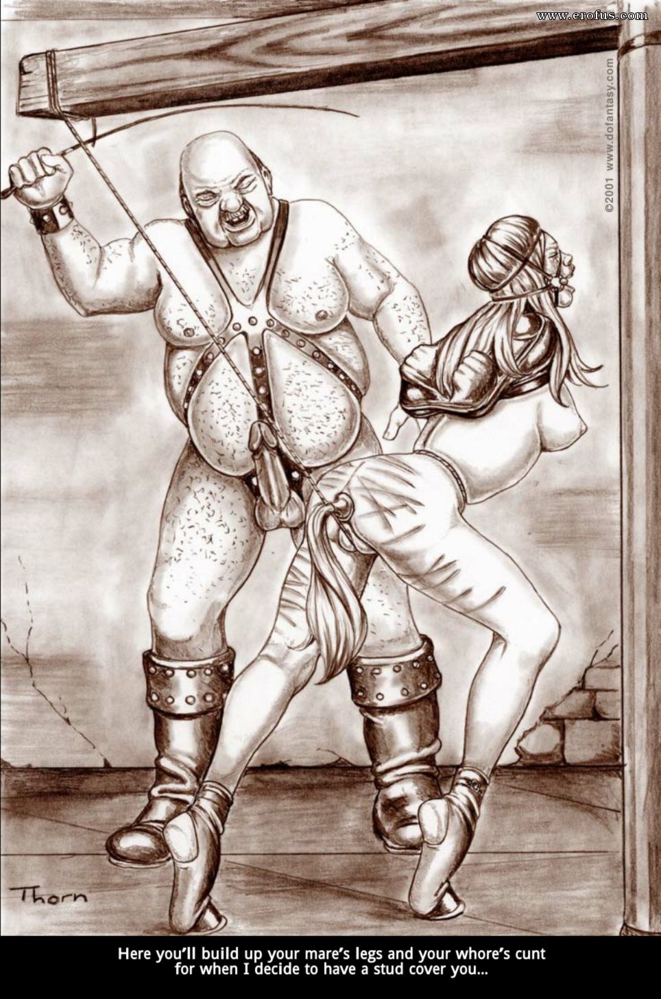 Comics de tortura anal BDSM