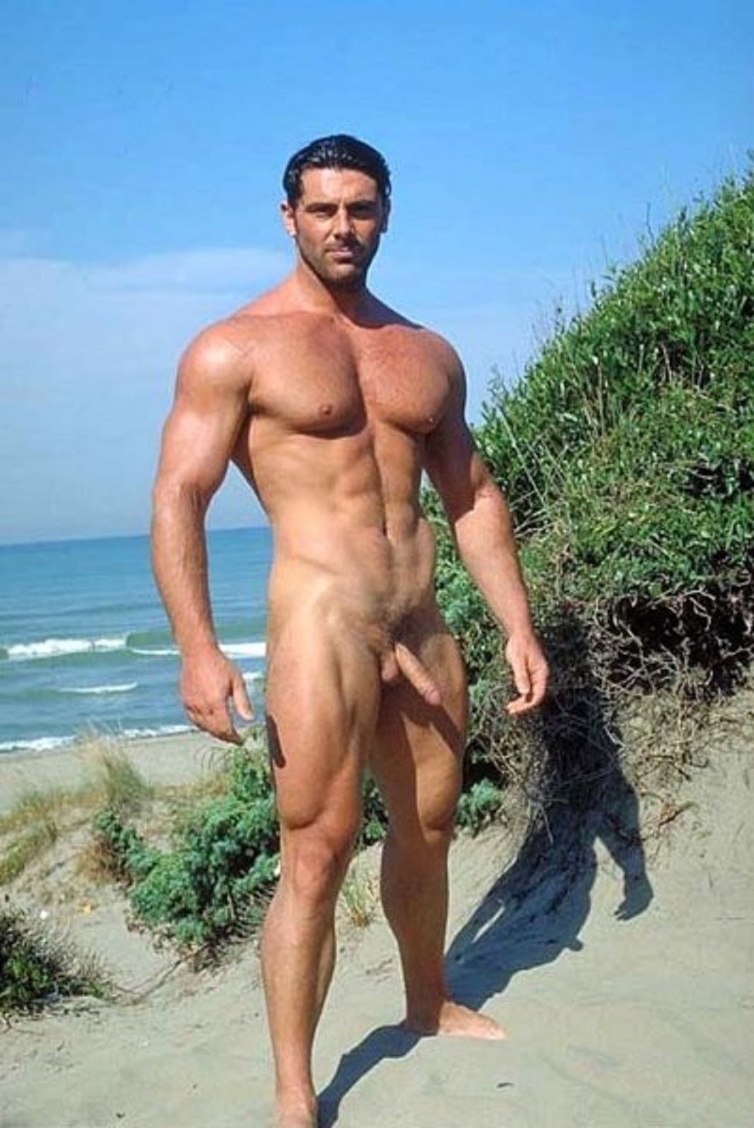 Desnudos bombeados chicos en la playa