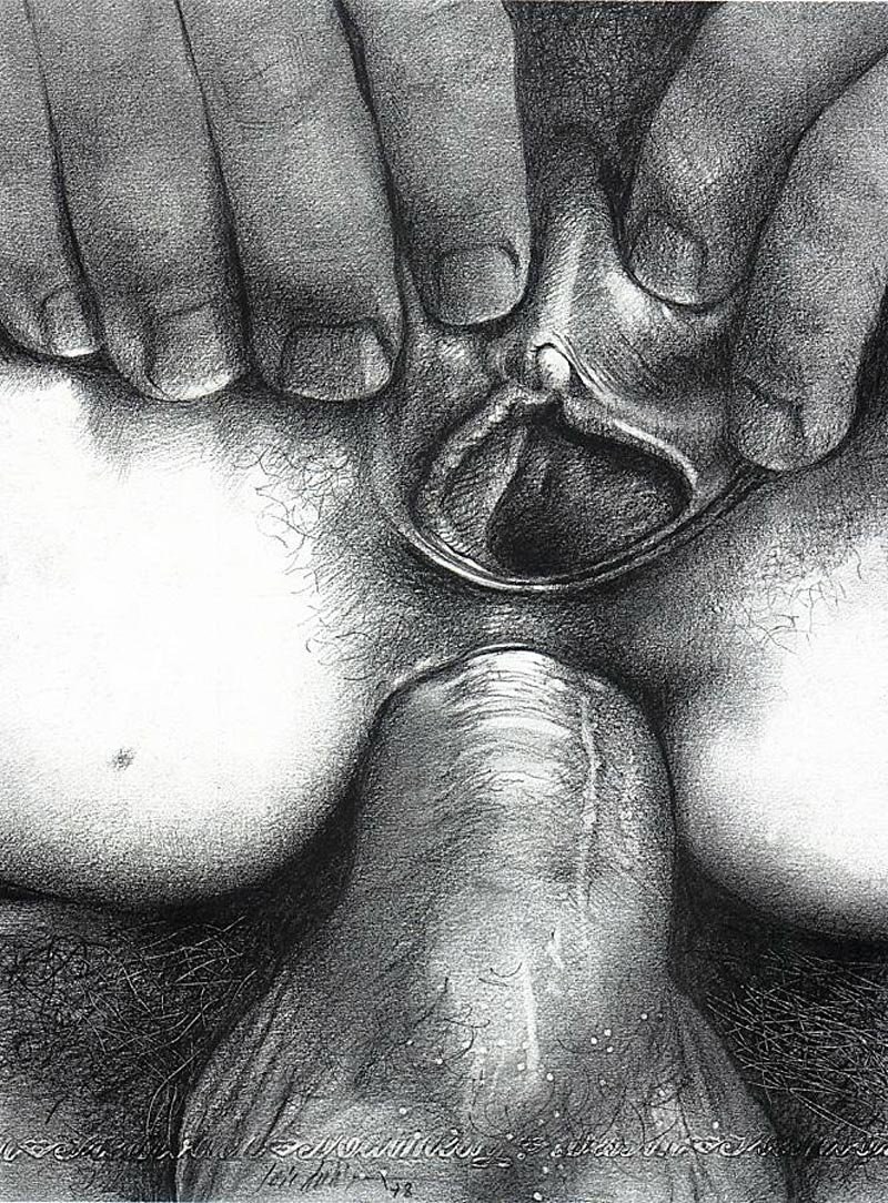 Pene en el esquema de vagina
