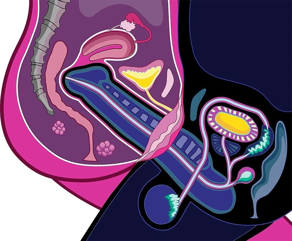 Penetración en la vagina en el contexto