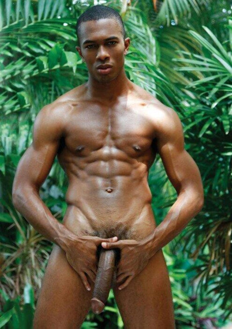 NEGROS NECHOS