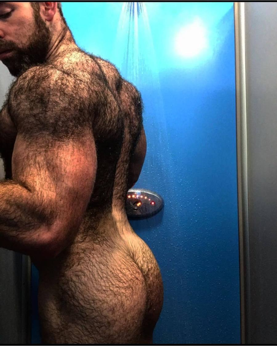 Oso drochit hombre peludo gay xxx