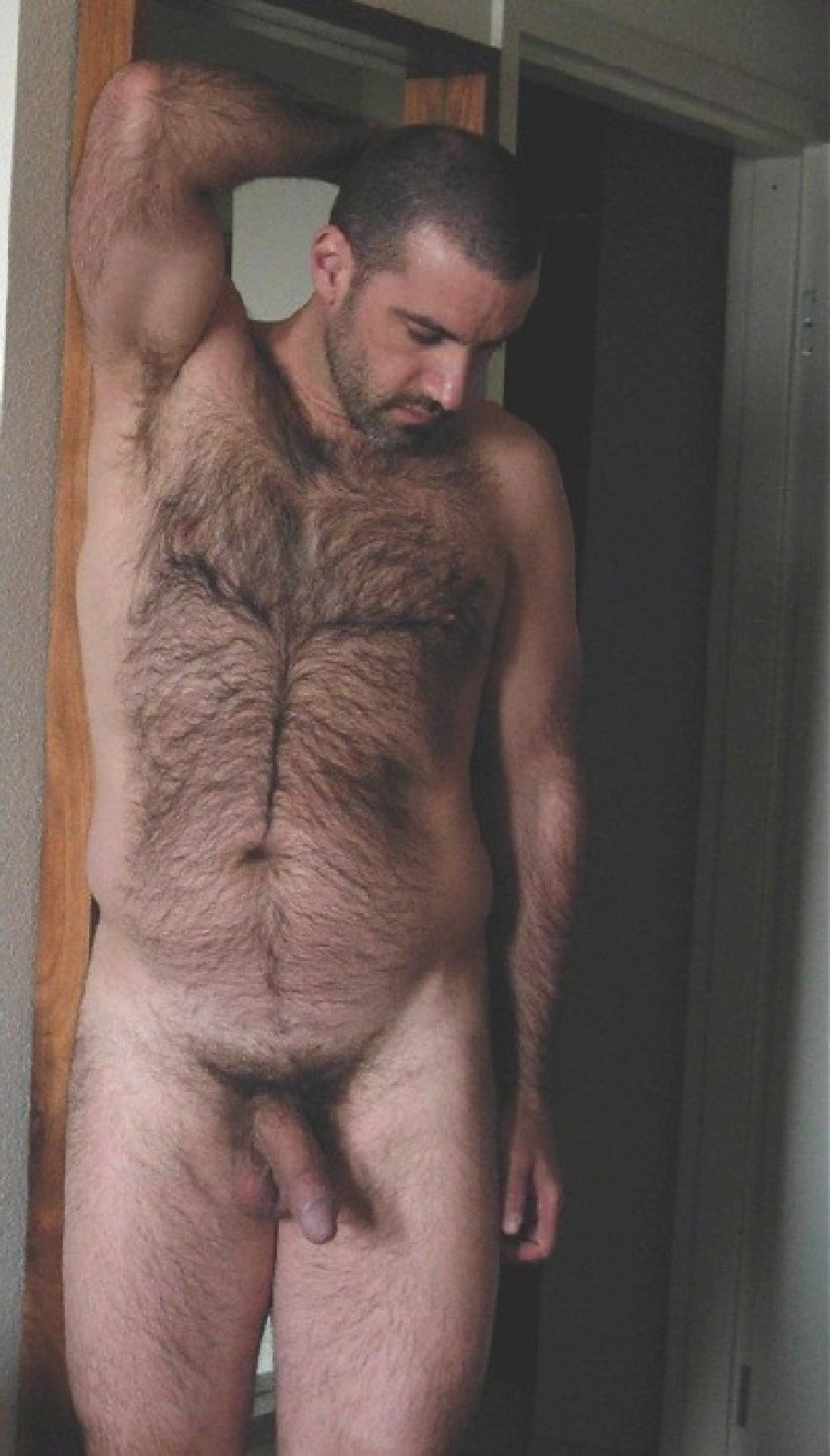 Hombre peludo de grasa desnuda