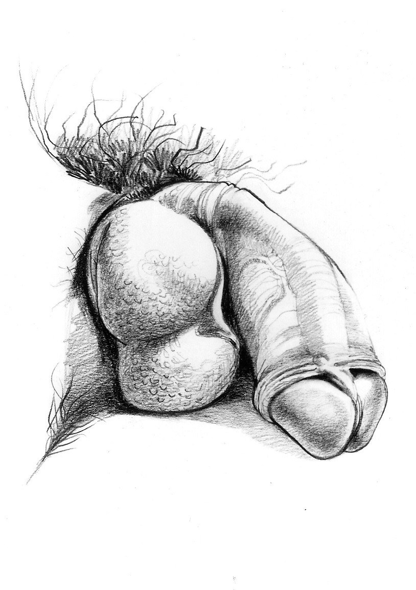 El arte de dibujar miembros