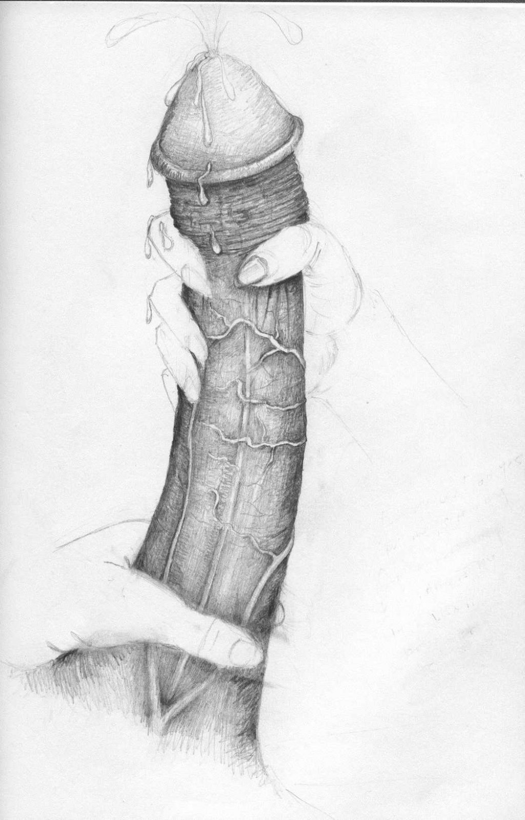 Dibujo de miembros
