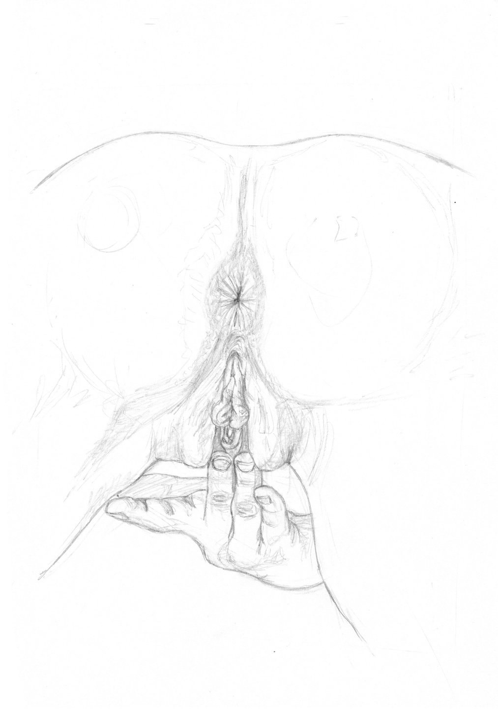 Dibujo de una vagina femenina