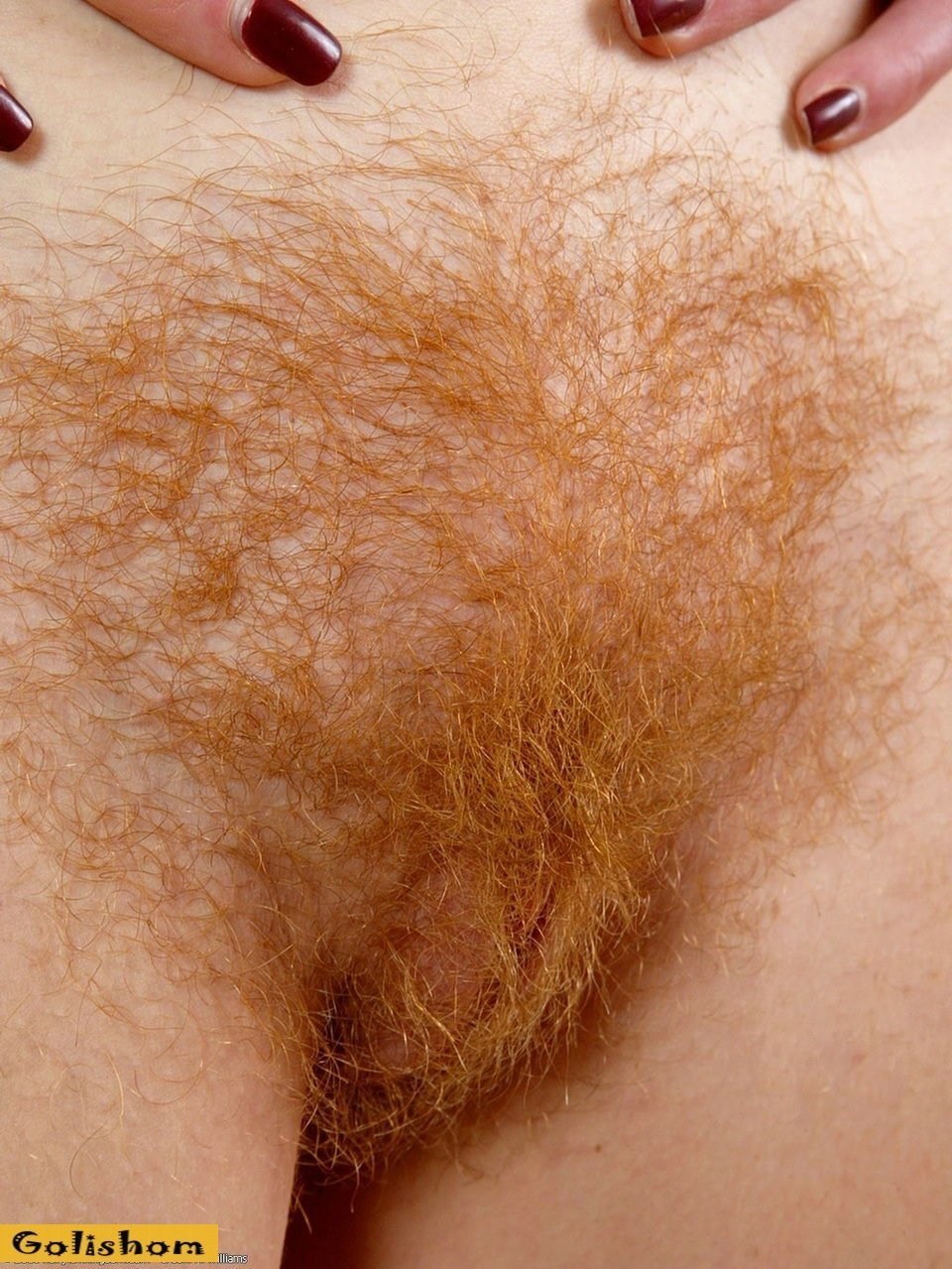 Cabello pubisado rojo hembra