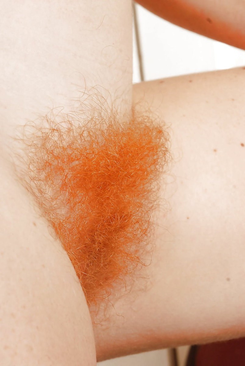 Color de cabello rojo en el pubis