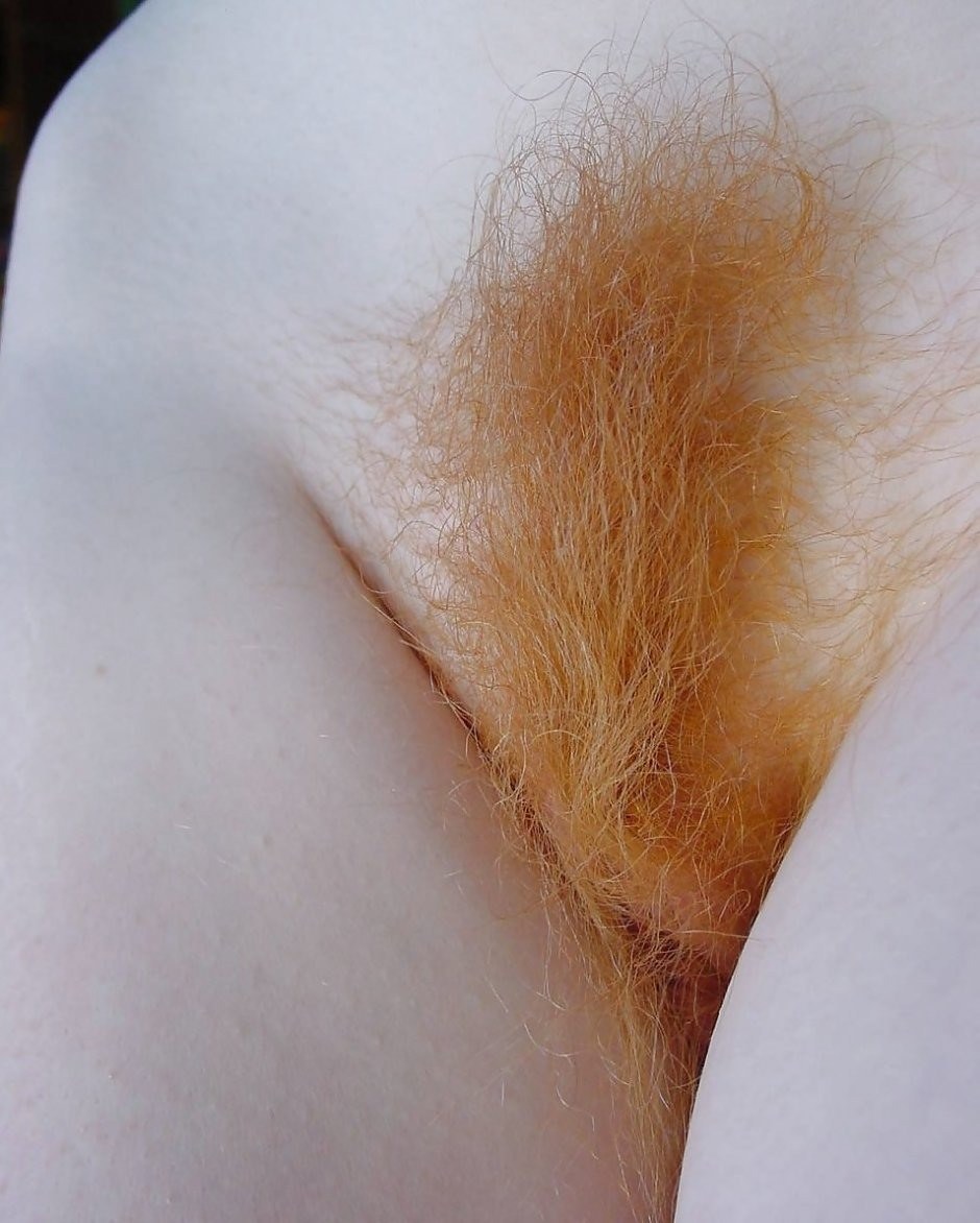 Cabello brillante en el pubis