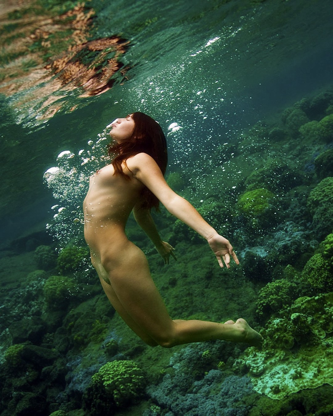 Buceo -in -law Natalia Avseenko