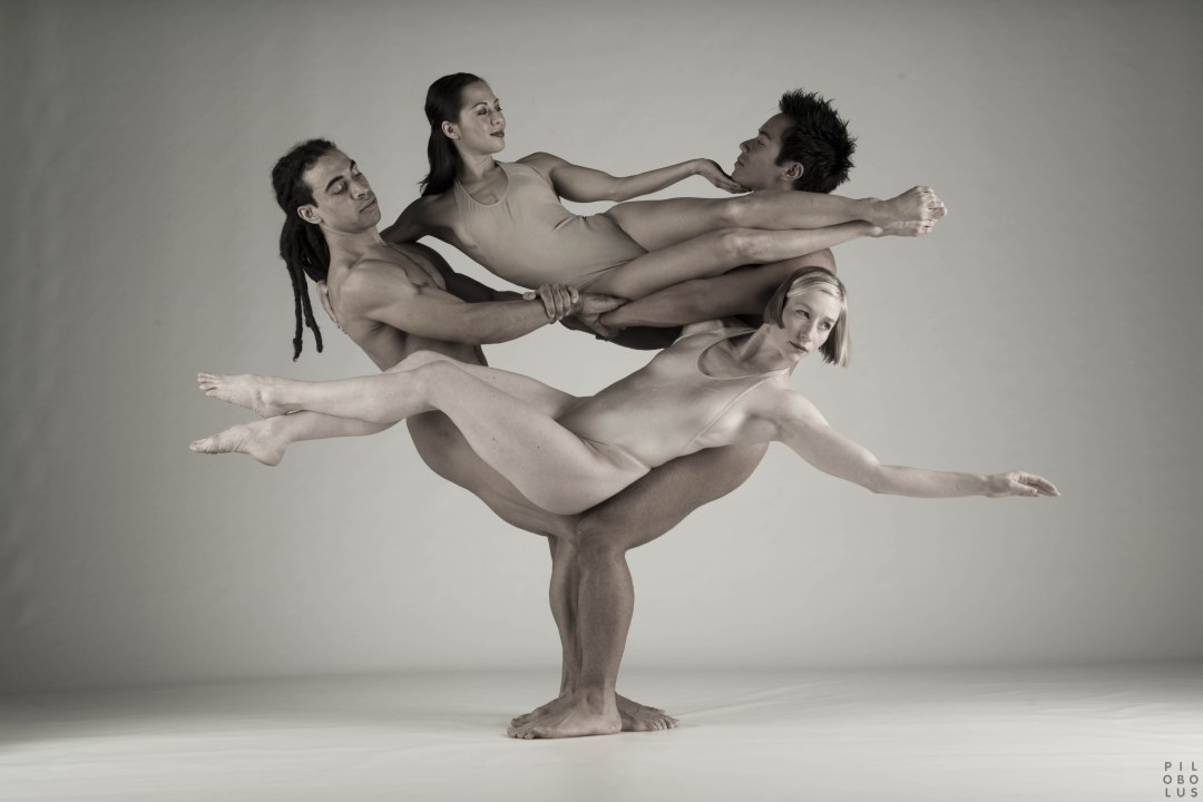Danza erótica moderna