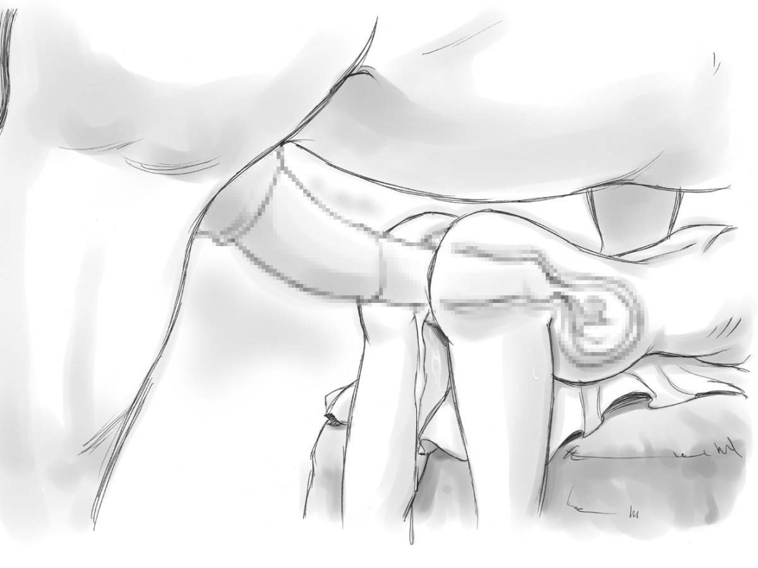 Pene en la vagina en la sección