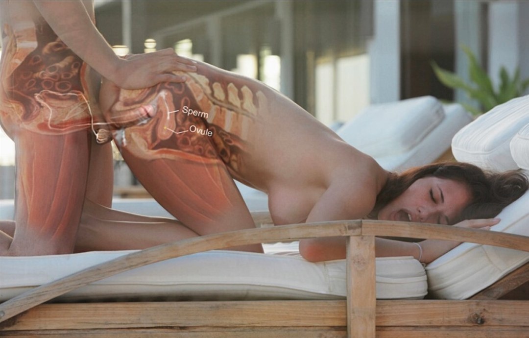 Anatomía de relaciones sexuales