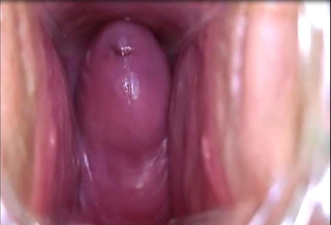 Miembro en la vagina desde adentro