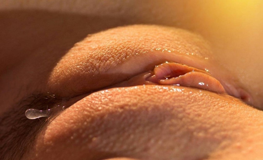 Hermosa vagina húmeda