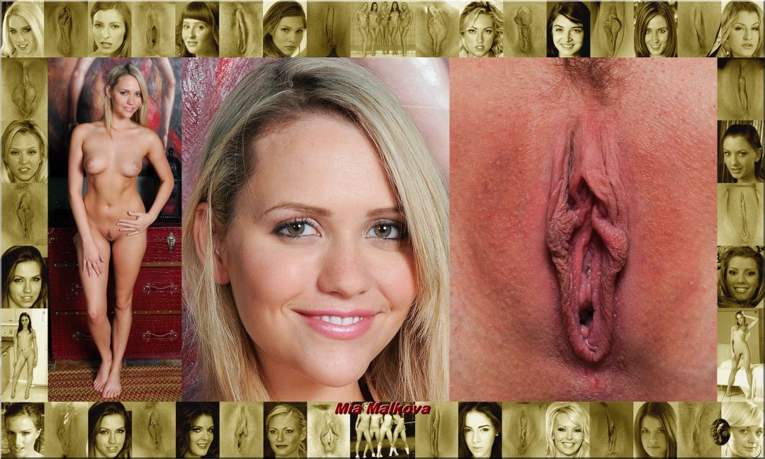 Vaginal de celebridades