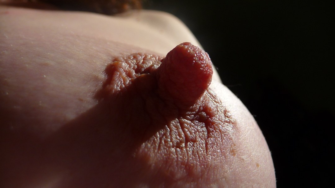 Macro de pezones de mujer