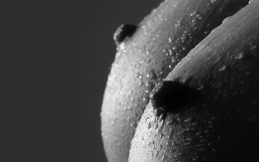 Macro -Potación del cofre