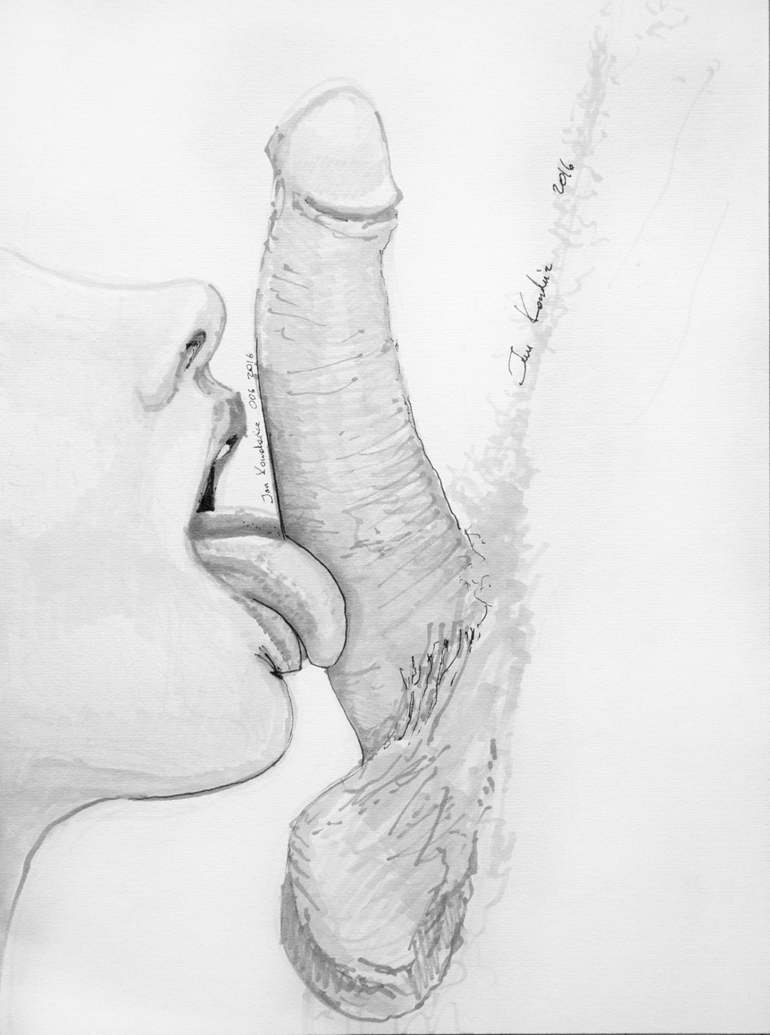 Dibujo de miembros