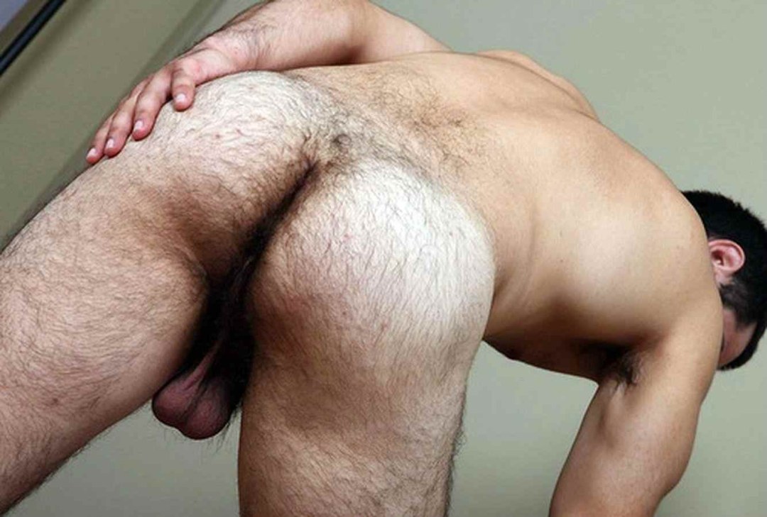 Chicos de culo peludo