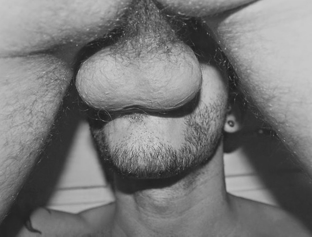 Los chicos lamen los huevos peludos