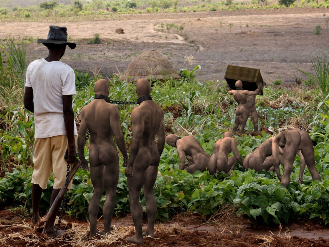 Esclavos desnudos en plantaciones