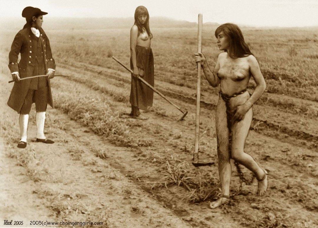 Rabia de sexo negro en plantaciones