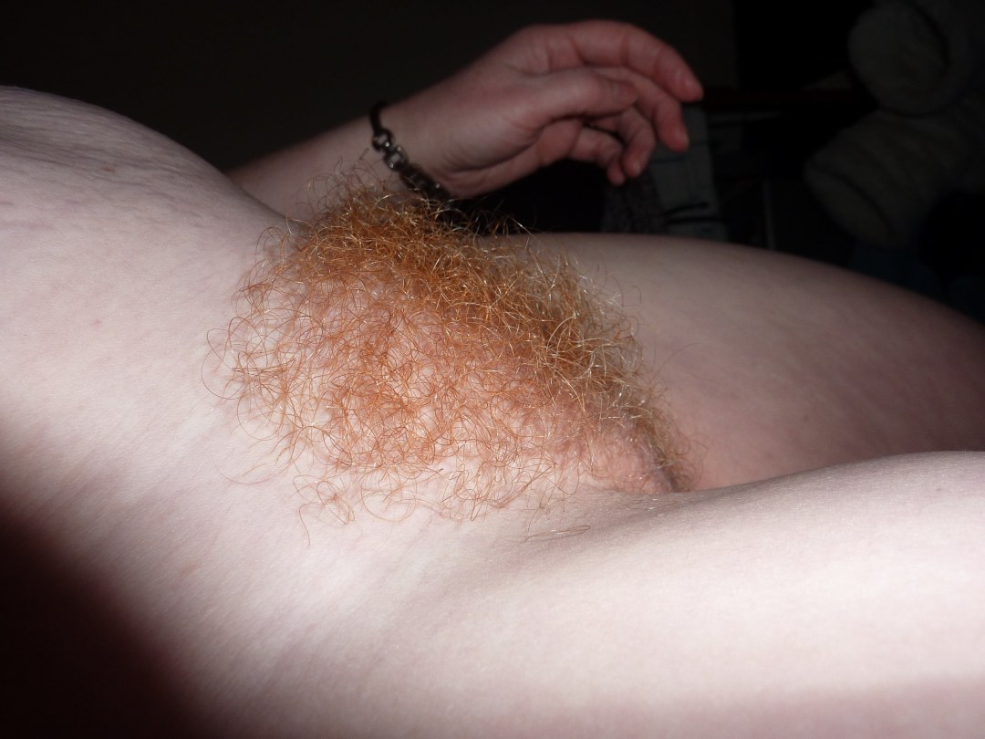 Cabello castaño en el pubis
