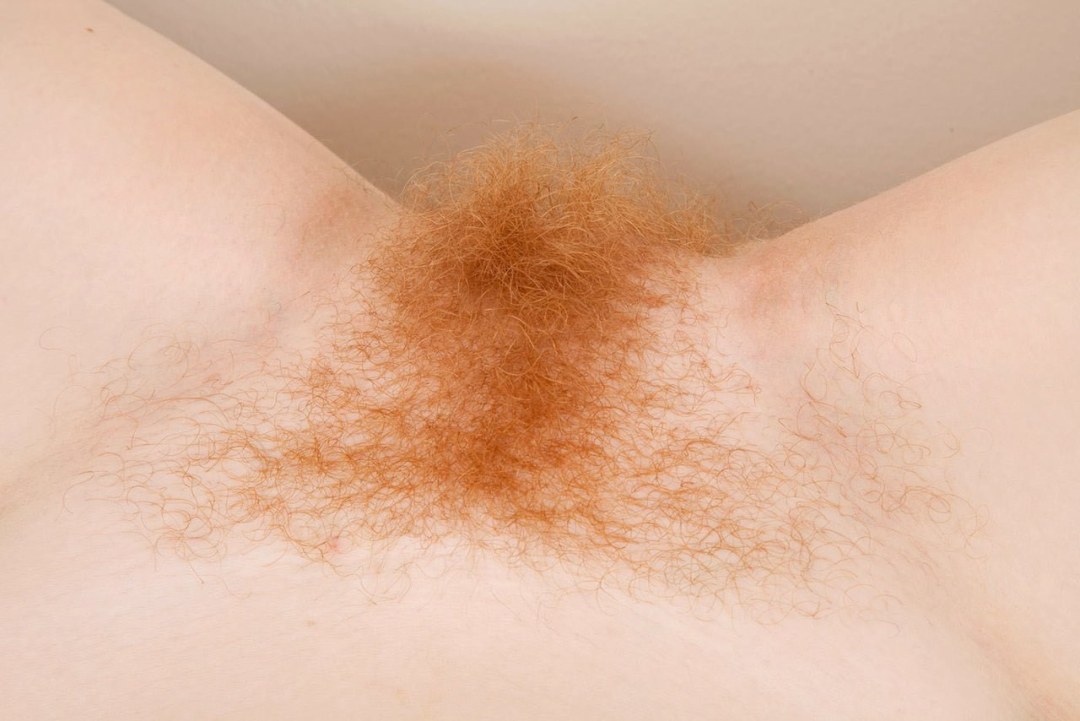 Cabello rojo rizado en el pubis