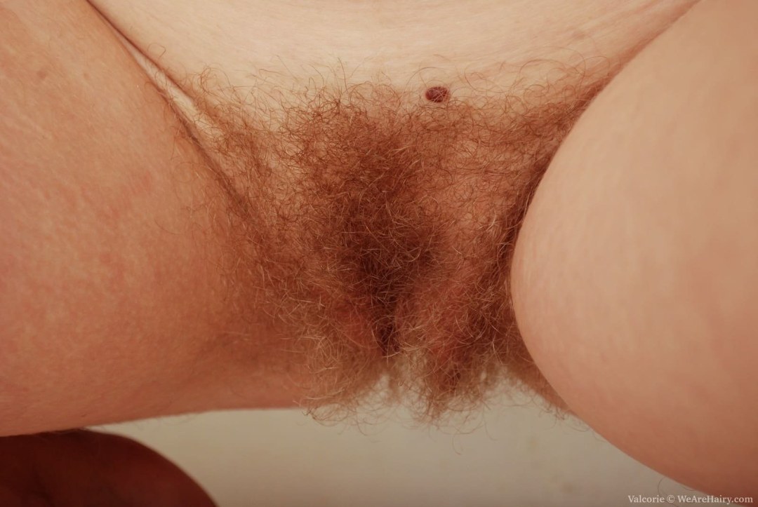 Cabello rojo en el pubis femenino