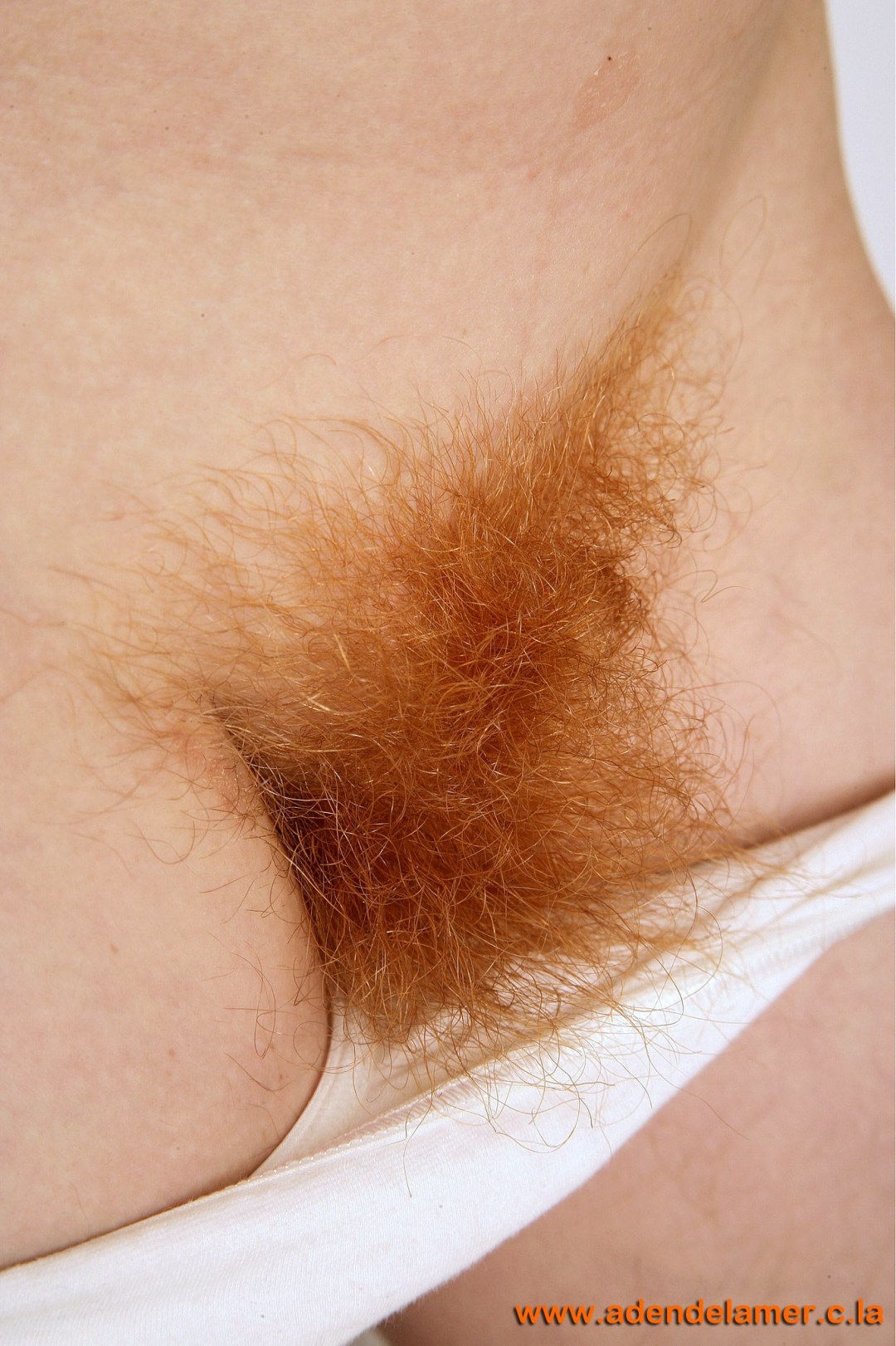 Hermoso cabello en el pubis
