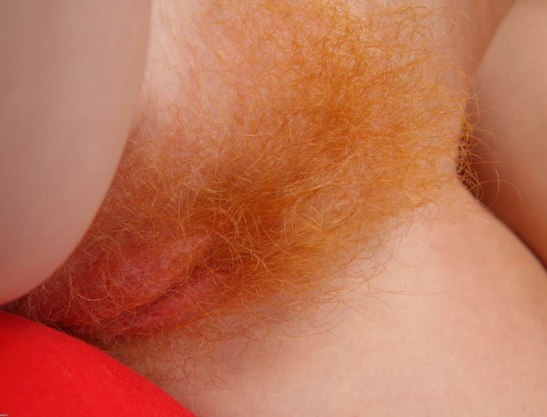 Color de cabello rojo en el pubis