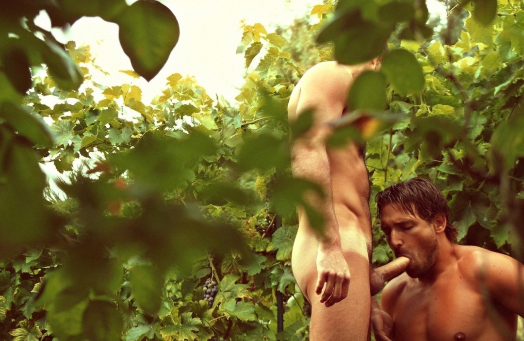 Exhibicionismo masculino en la naturaleza