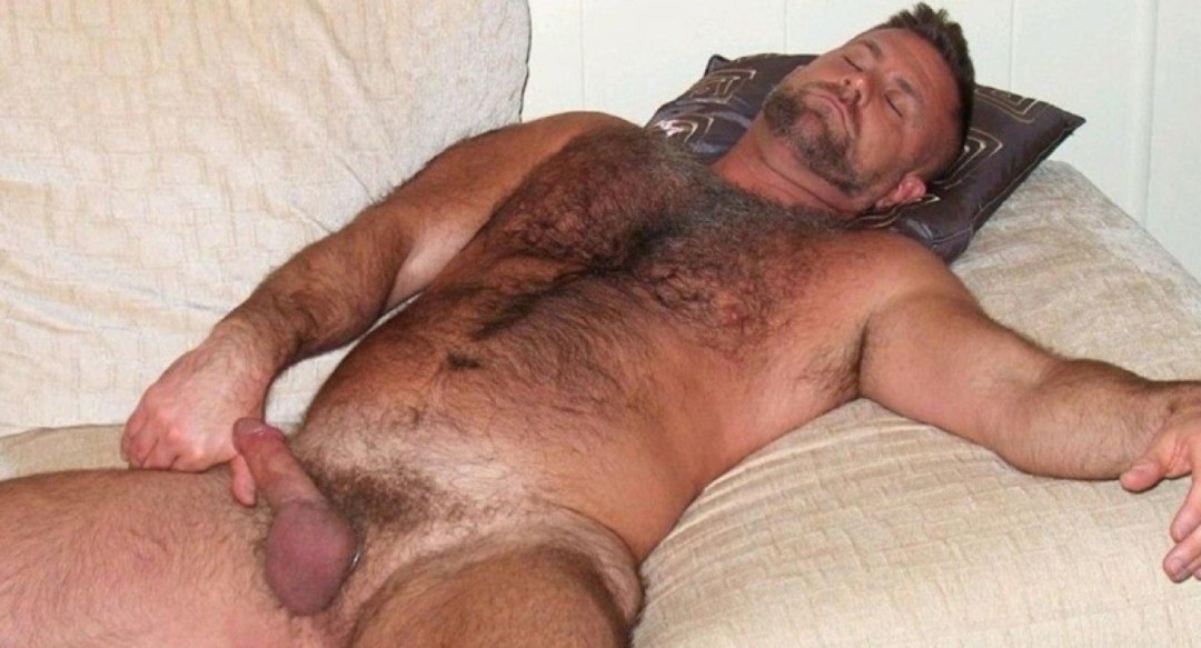 Hombres peludos gordos