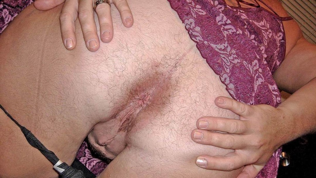 Grandes culos peludos