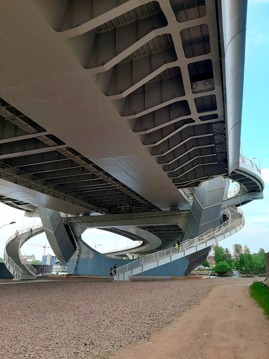 Попки в колготках крупным планом