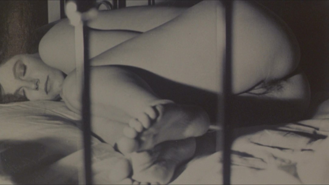 Стефания Сандрелли the Key nude