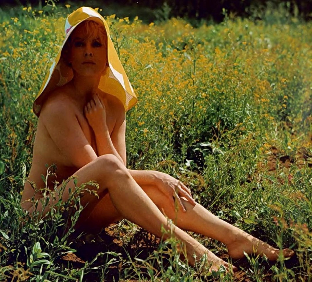 Bibi Andersson the Touch