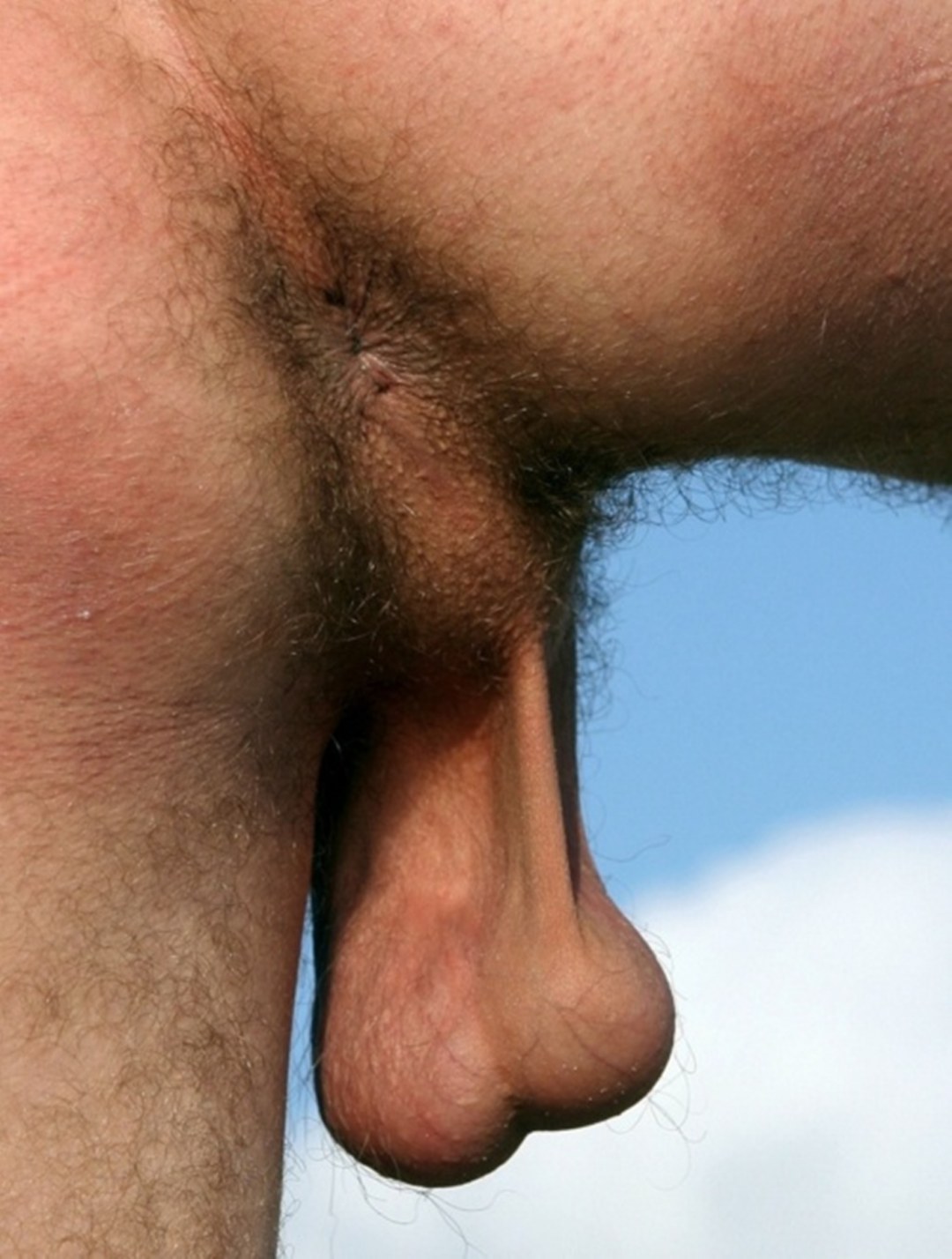 Волосатые обвисшие яйца