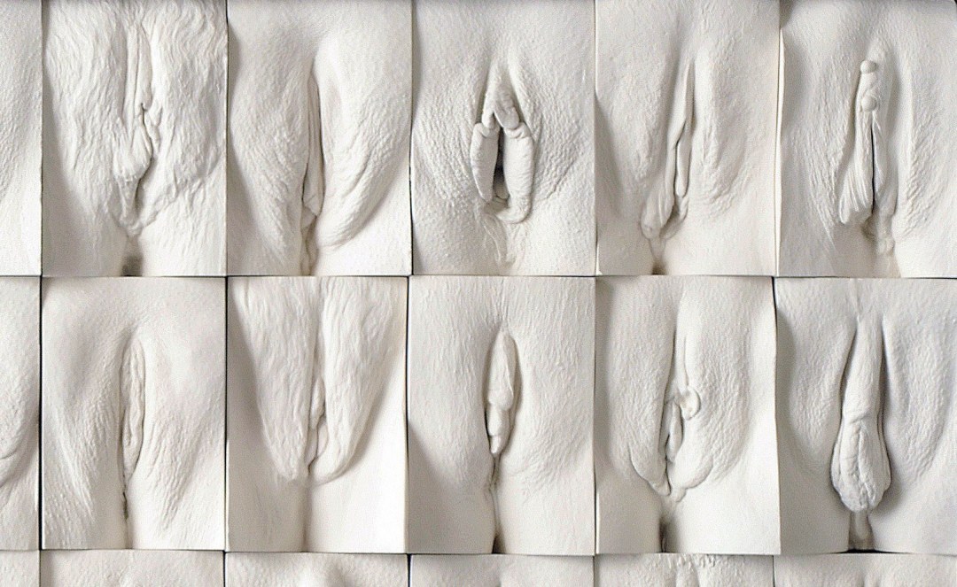 The great Wall of vagina Джейми Маккартни
