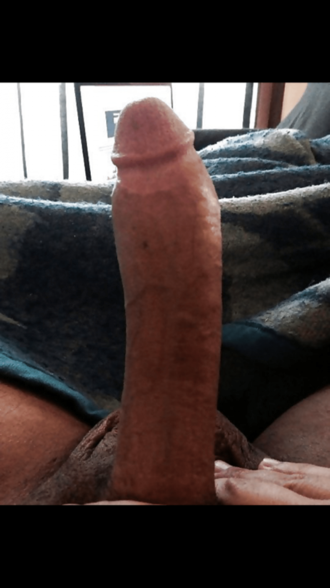 Огромные арабские члены